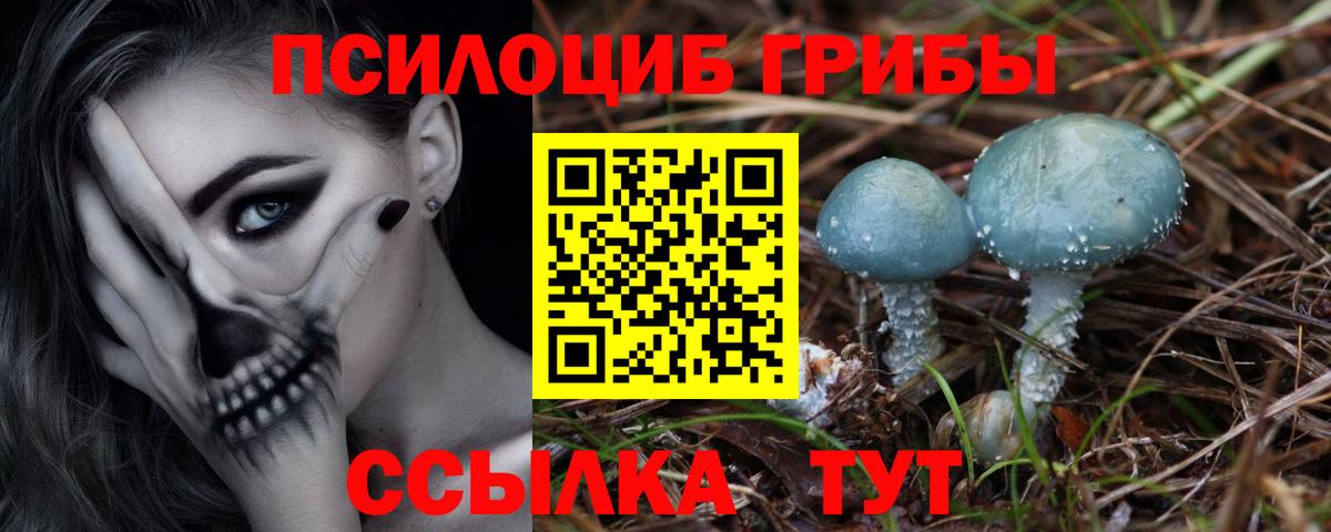 Лянтор  Псилоцибиновые грибы мухоморы  Вход с VPN 